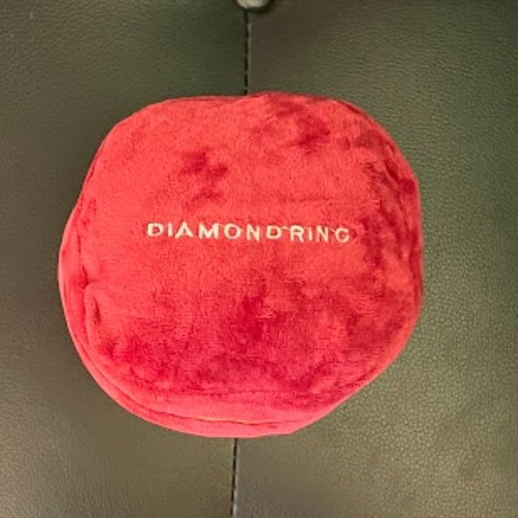 Giant Plush Ring Box with Ring! Dog Toy, Fake Proposal and More! Brand New - Picture 3 of 5